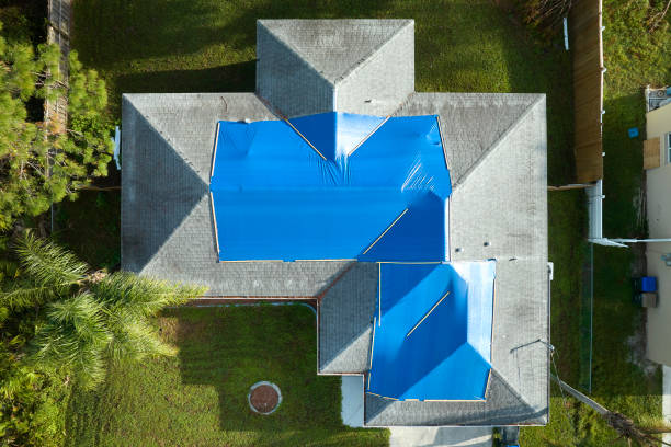 Best Rubber Roofing (EPDM, TPO)  in Williston, SC