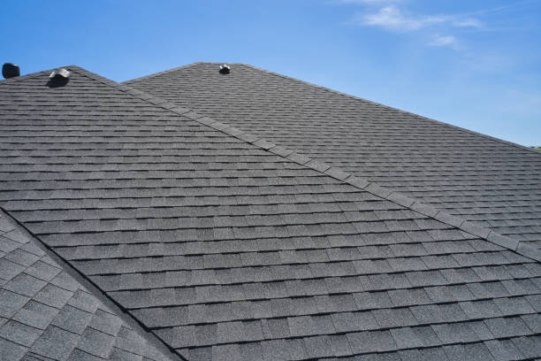 Best Roof Moss and Algae Removal  in Williston, SC