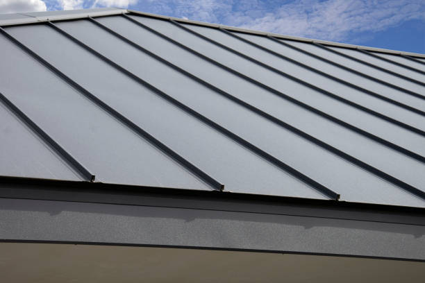 Best Roof Insulation Installation  in Williston, SC